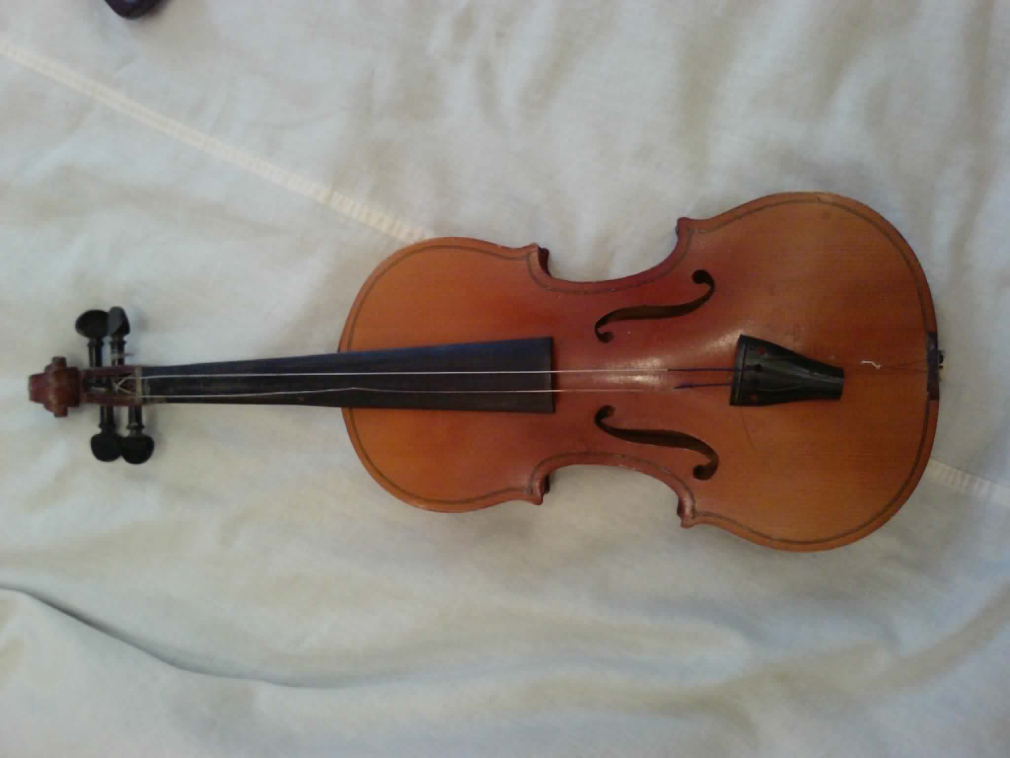 Скрипки санкт петербург